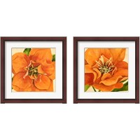 Framed 'Copper Petals 2 Piece Framed Art Print Set' border=