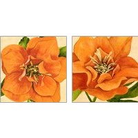 Framed 'Copper Petals 2 Piece Art Print Set' border=