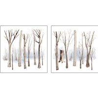 Framed Cypress Sounds 2 Piece Art Print Set