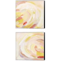 Framed 'Sunburst Blossom 2 Piece Canvas Print Set' border=