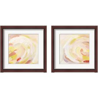 Framed 'Sunburst Blossom 2 Piece Framed Art Print Set' border=