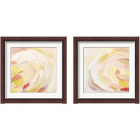 Framed 'Sunburst Blossom 2 Piece Framed Art Print Set' border=