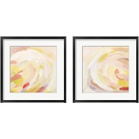 Framed 'Sunburst Blossom 2 Piece Framed Art Print Set' border=