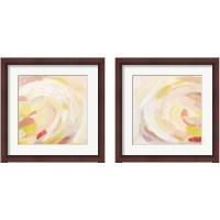 Framed Sunburst Blossom 2 Piece Framed Art Print Set