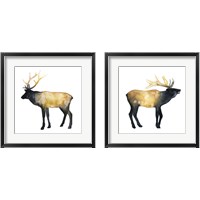 Framed Elk Aglow 2 Piece Framed Art Print Set