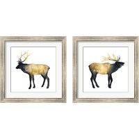 Framed 'Elk Aglow 2 Piece Framed Art Print Set' border=