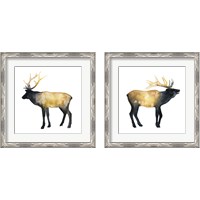 Framed 'Elk Aglow 2 Piece Framed Art Print Set' border=