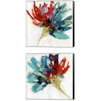 Framed 'Splashed Flower 2 Piece Canvas Print Set' border=