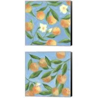 Framed 'Sweet Tangerine 2 Piece Canvas Print Set' border=