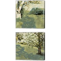 Framed 'Sun Patch 2 Piece Canvas Print Set' border=