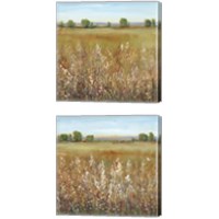 Framed Abundance of Wildflowers 2 Piece Canvas Print Set