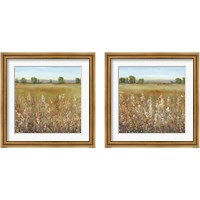 Framed Abundance of Wildflowers 2 Piece Framed Art Print Set