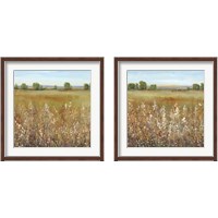 Framed 'Abundance of Wildflowers 2 Piece Framed Art Print Set' border=