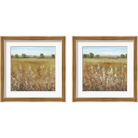Framed 'Abundance of Wildflowers 2 Piece Framed Art Print Set' border=