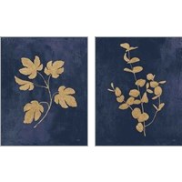 Framed Botanical Study Gold Navy2 Piece Art Print Set