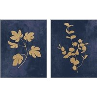 Framed 'Botanical Study Gold Navy2 Piece Art Print Set' border=