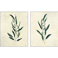 Framed Botanical Study 2 Piece Art Print Set