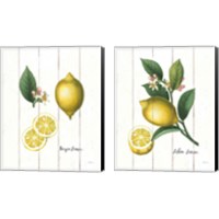 Framed 'Cottage Lemon 2 Piece Canvas Print Set' border=
