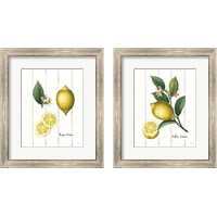 Framed Cottage Lemon 2 Piece Framed Art Print Set