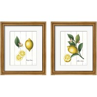 Framed 'Cottage Lemon 2 Piece Framed Art Print Set' border=