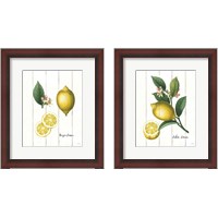 Framed Cottage Lemon 2 Piece Framed Art Print Set