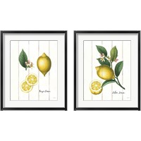 Framed Cottage Lemon 2 Piece Framed Art Print Set