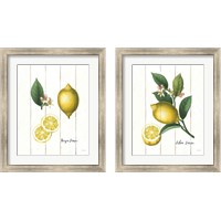 Framed 'Cottage Lemon 2 Piece Framed Art Print Set' border=