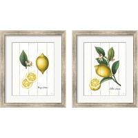Framed 'Cottage Lemon 2 Piece Framed Art Print Set' border=