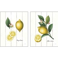 Framed 'Cottage Lemon 2 Piece Art Print Set' border=