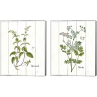 Framed 'Cottage Herbs 2 Piece Canvas Print Set' border=
