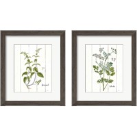 Framed Cottage Herbs 2 Piece Framed Art Print Set