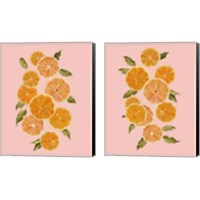 Framed 'Spring Citrus 2 Piece Canvas Print Set' border=