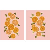 Framed 'Spring Citrus 2 Piece Art Print Set' border=