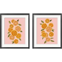 Framed 'Spring Citrus 2 Piece Framed Art Print Set' border=