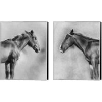 Framed 'Charcoal Equine Portrait 2 Piece Canvas Print Set' border=