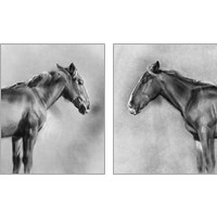 Framed 'Charcoal Equine Portrait 2 Piece Art Print Set' border=