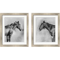 Framed Charcoal Equine Portrait 2 Piece Framed Art Print Set