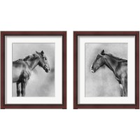 Framed Charcoal Equine Portrait 2 Piece Framed Art Print Set
