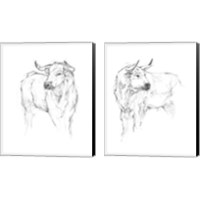 Framed 'Bull Study 2 Piece Canvas Print Set' border=
