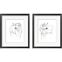 Framed 'Bull Study 2 Piece Framed Art Print Set' border=