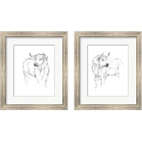 Framed Bull Study 2 Piece Framed Art Print Set