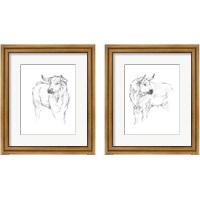 Framed Bull Study 2 Piece Framed Art Print Set