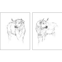 Framed Bull Study 2 Piece Art Print Set