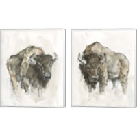 Framed 'American Buffalo 2 Piece Canvas Print Set' border=