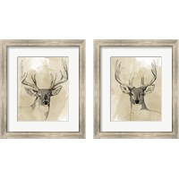 Framed Burnished Buck 2 Piece Framed Art Print Set