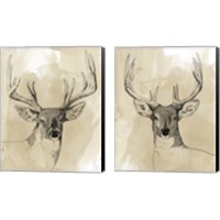 Framed Burnished Buck 2 Piece Canvas Print Set