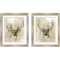 Framed Burnished Buck 2 Piece Framed Art Print Set