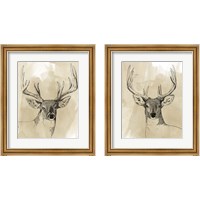 Framed 'Burnished Buck 2 Piece Framed Art Print Set' border=