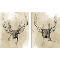 Framed 'Burnished Buck 2 Piece Art Print Set' border=