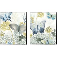 Framed Butterfly Concerto 2 Piece Canvas Print Set